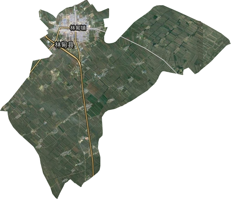 林甸镇卫星图