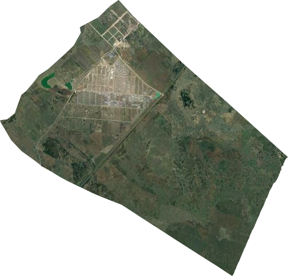 林甸县长青林场卫星图