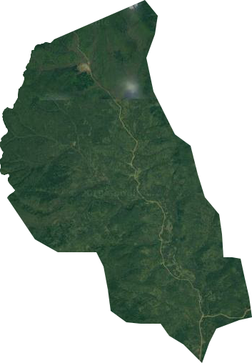 东卡林场卫星图