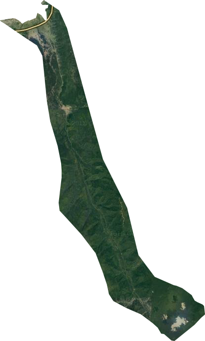 松林林场卫星图