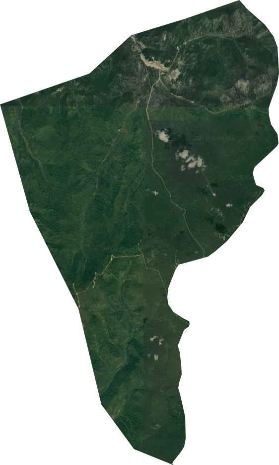 泉林林场卫星图