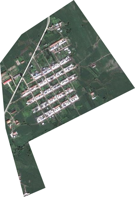 柳树河林场卫星图