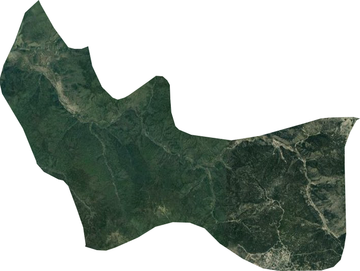 顺利河林场卫星图
