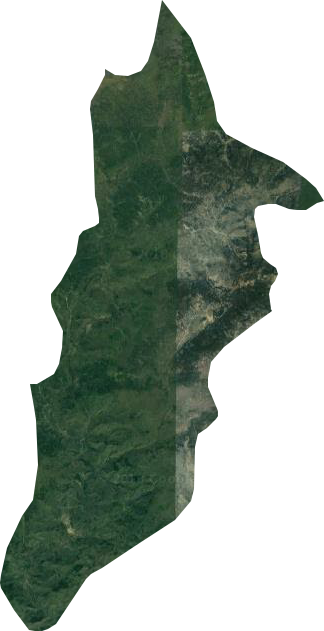 青山口林场卫星图