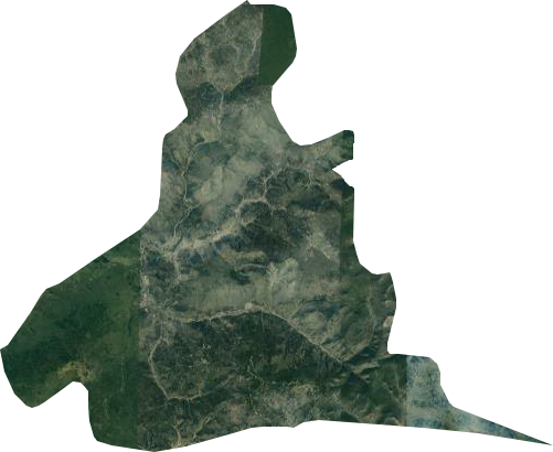 金沙河林场卫星图