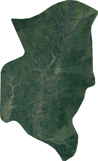 桦皮羌子林场卫星图