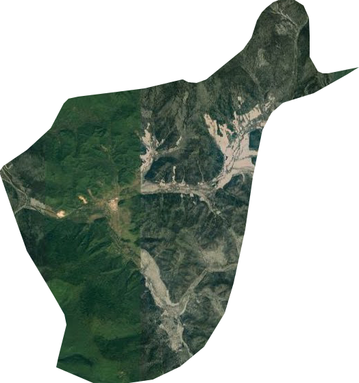 卧龙河林场卫星图