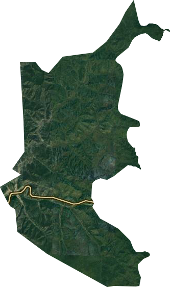 丰林林场卫星图