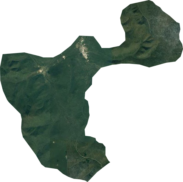 西岭林场卫星图