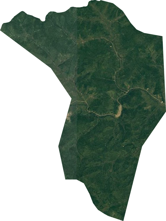 二龙山林场卫星图