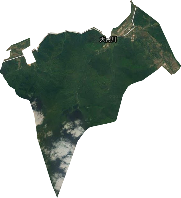 大青川林场卫星图