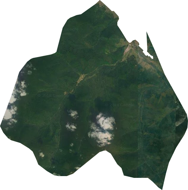 东方红林场卫星图
