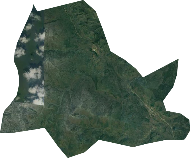 北列林场卫星图