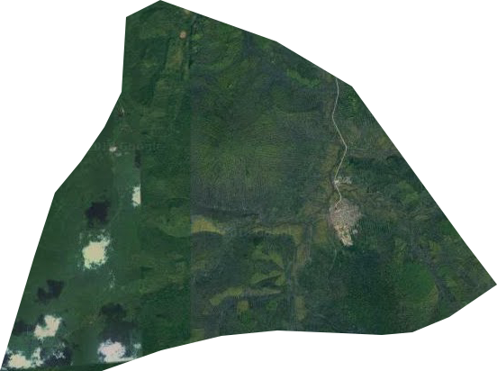 汤南林场卫星图