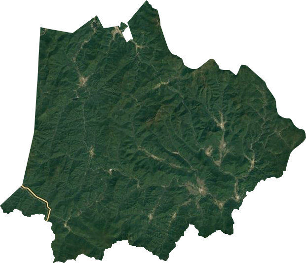 朗乡林业局卫星图