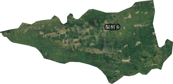 梨树乡卫星图