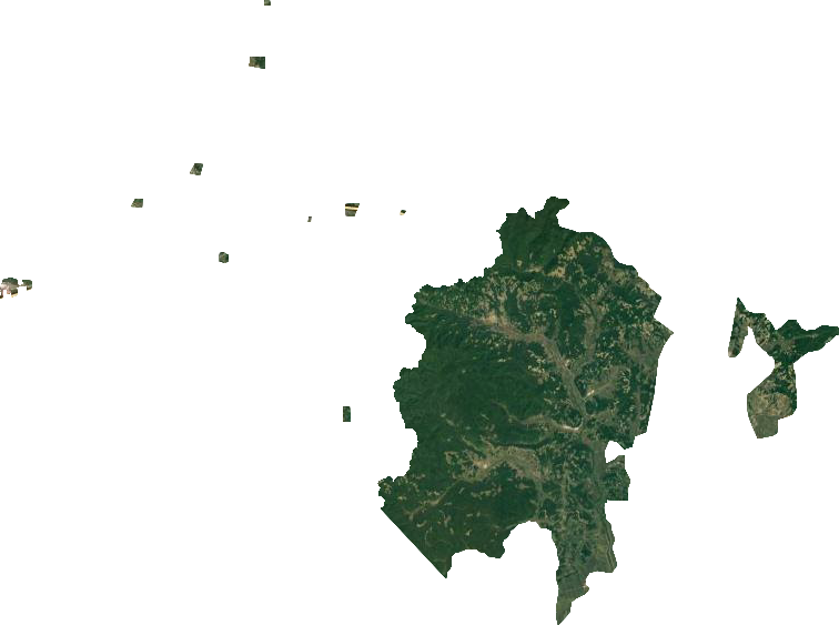 桦南林业局卫星图