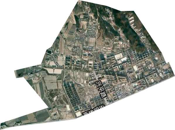 兴平街道卫星图