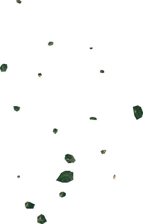 林口林业局卫星图