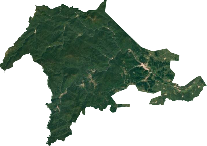 长汀镇卫星图
