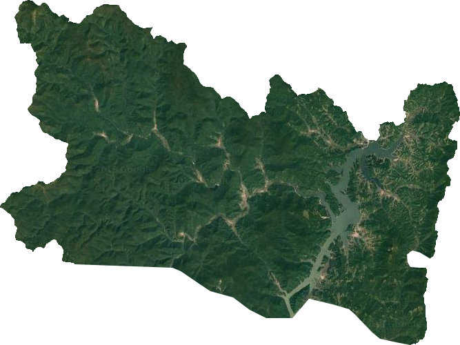 三道镇卫星图