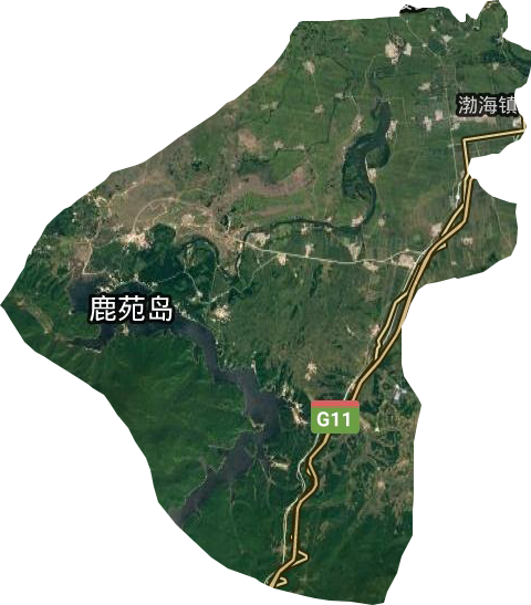 渤海镇卫星图