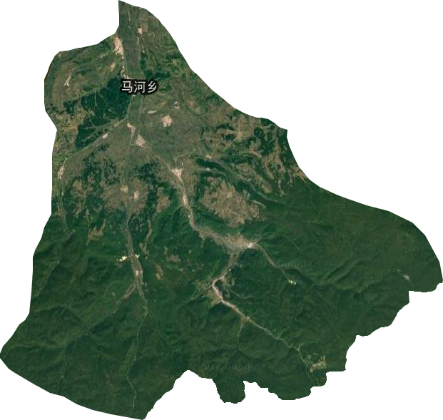 马河乡卫星图