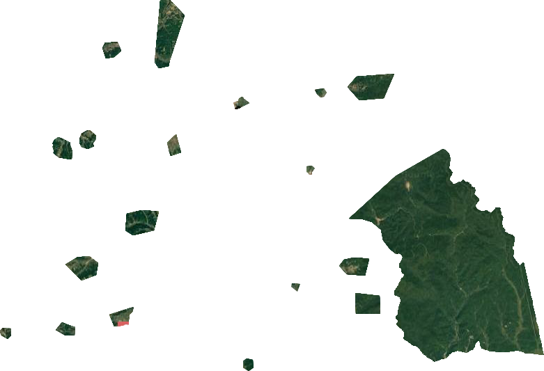 八面通林业局卫星图