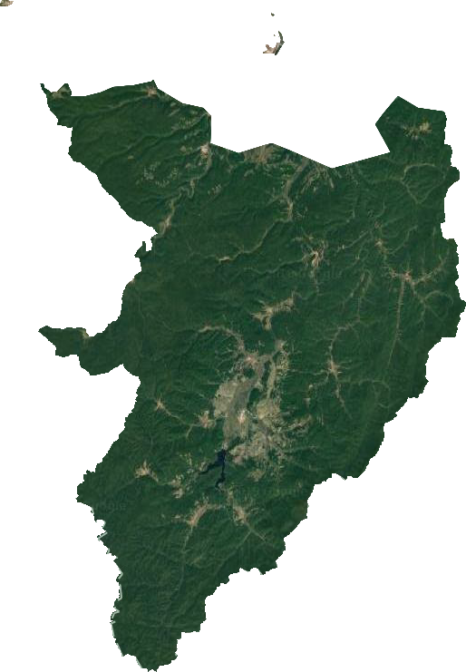 穆棱林业局卫星图