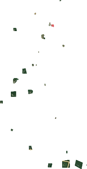 绥阳林业局卫星图