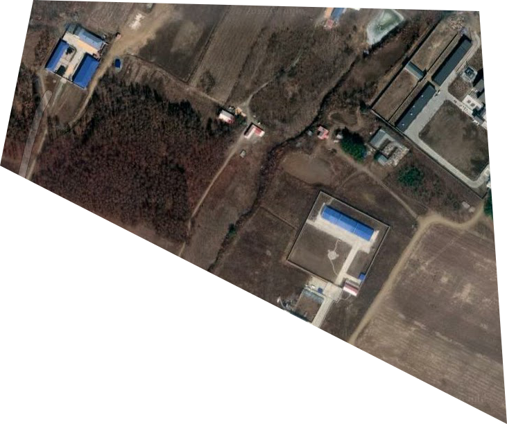 河南屯林场卫星图