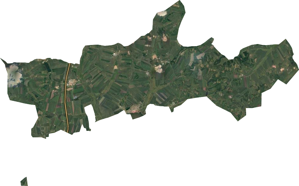 鹤山农场卫星图