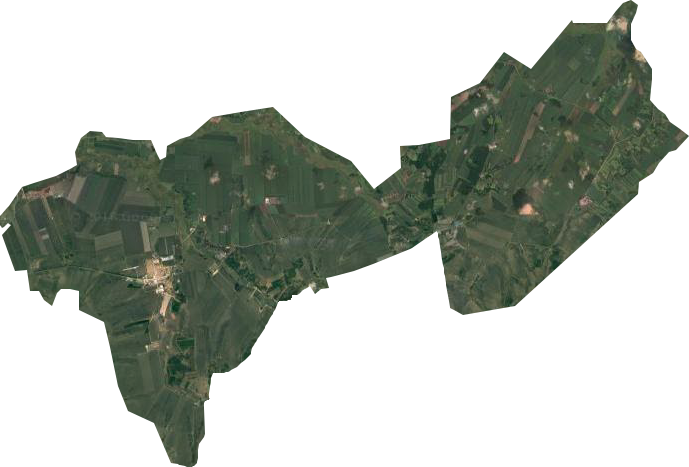 尖山农场卫星图