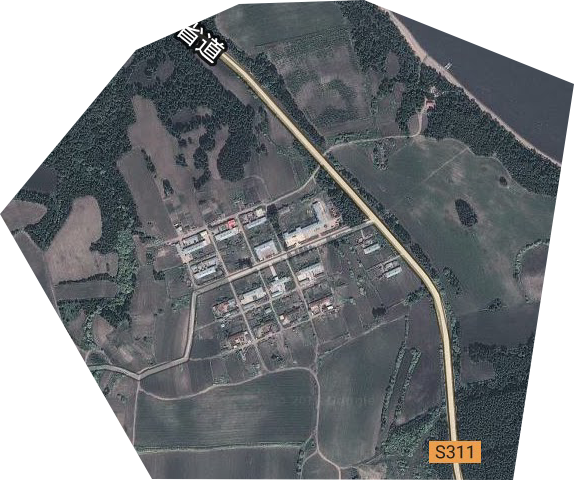 道干林场卫星图