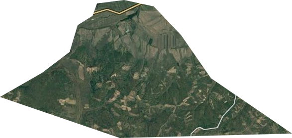 干岔子林场卫星图