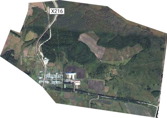大河口林场卫星图