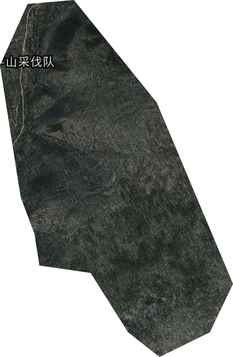 平山林场卫星图