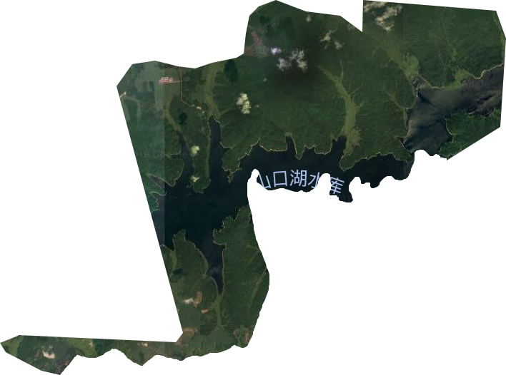 三九六林场卫星图