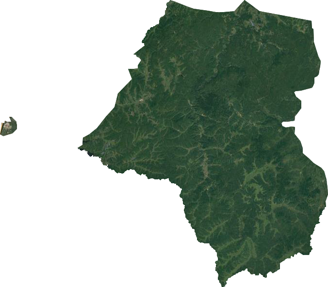 沾河林业局卫星图