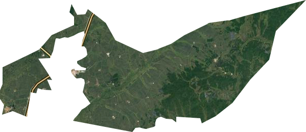 龙镇农场卫星图