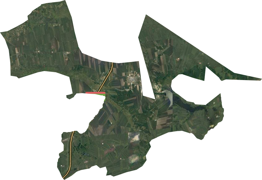 二龙山农场卫星图