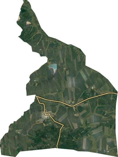 尾山农场卫星图
