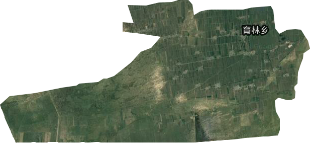 育林乡卫星图
