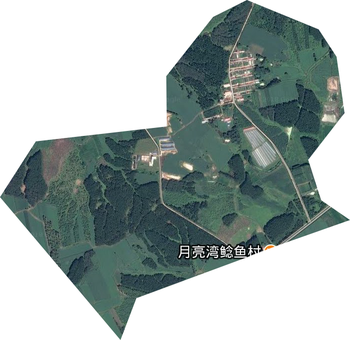 阁山林场卫星图