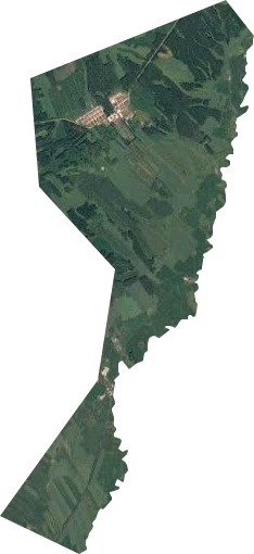 三吉台林场卫星图