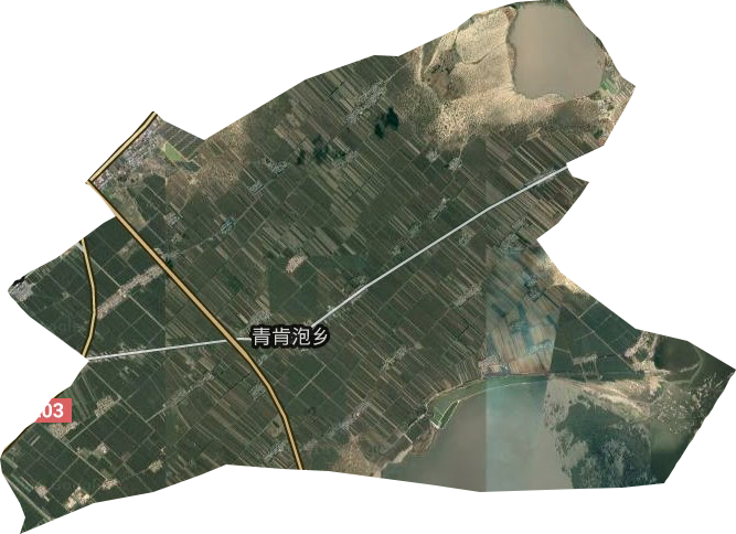 青肯泡乡卫星图