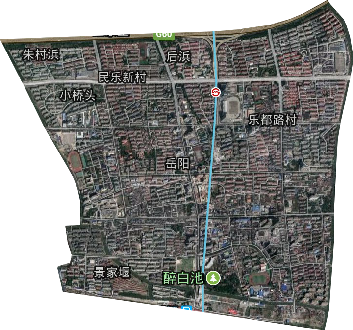 岳阳街道卫星图