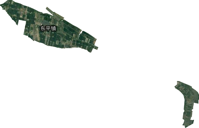 东平镇卫星图