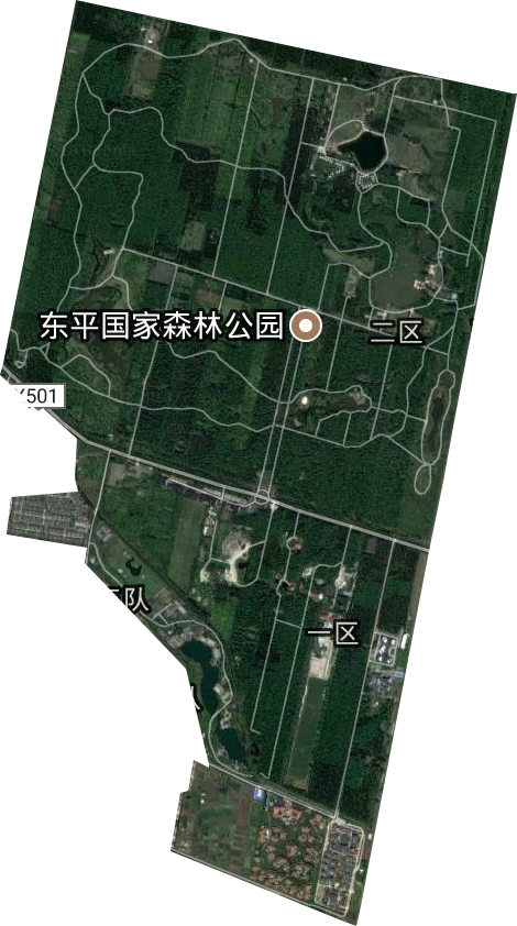 东平林场卫星图