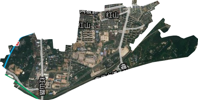 红山街道卫星图